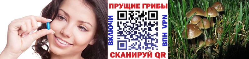 Галлюциногенные грибы прущие грибы где найти Волоколамск