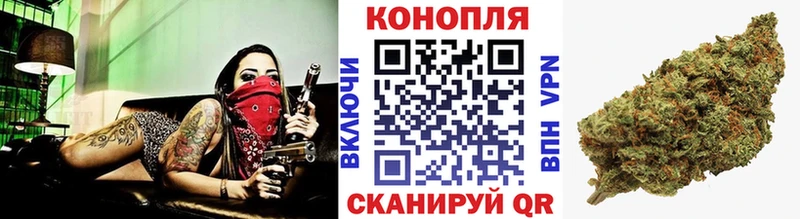 Шишки марихуана семена  продажа наркотиков  Волоколамск 